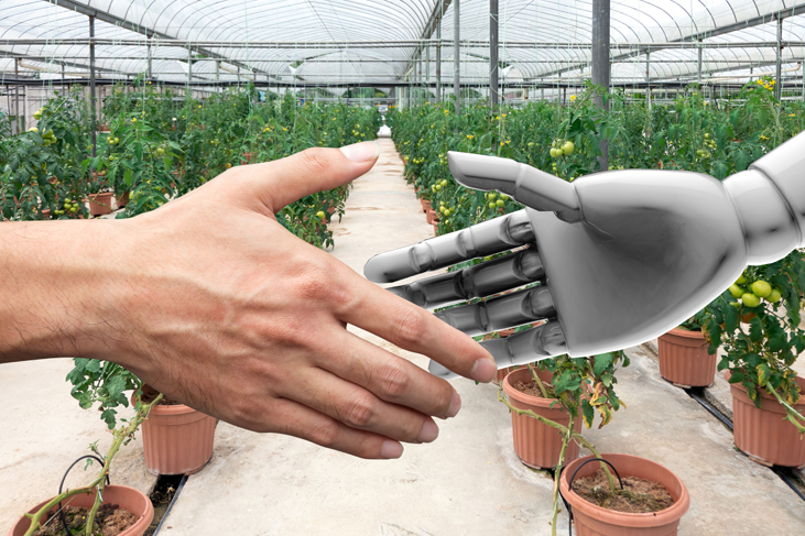 Menschenhand und Roboterhand